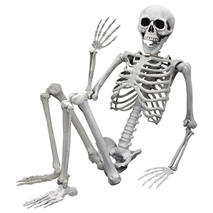 Life-Size Hanging Skeleton Decoration image